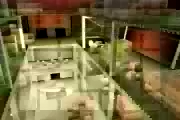 1998 trailer 59.png